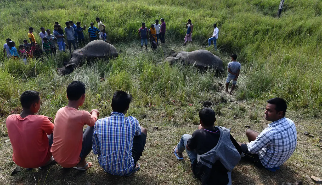 Warga mengerumuni lokasi dua ekor gajah yang tewas tertabrak kereta api di dekat Stasiun Thakurkhchi di pinggiran kota Guwahati, India, Minggu (19/11). Gajah-gajah itu berkeliaran di sekitar area tersebut untuk mencari makanan. (Biju BORO/AFP)