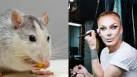Ilmuwan Bisa Cegah Penuaan Dini Pada Tikus (Sumber: Pexels/pixabay-cottonbro)