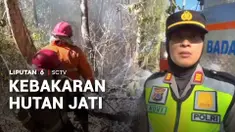 Kebakaran hebat melanda kawasan hutan jati di Kalurahan Sidorejo, Kulon Progo, Yogyakarta, Rabu siang. Kobaran api dengan cepat meluas akibat angin kencang dan kondisi lahan kering, hingga menghanguskan sekitar 3 hektare kawasan hutan.