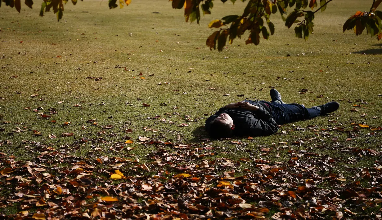 Seorang lelaki beristirahat pada cuaca musim gugur di Gyoen Park di Tokyo (5/12/2019). Taman Nasional Shinjuku Gyoen adalah sebuah taman yang besar di area Shinjuku dan Shibuya, Tokyo, Jepang. (AFP/Charly Triballeau)