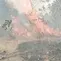 2 Hektare Taman Nasional Way Kambas Terbakar