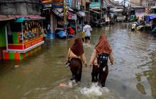 FOTO: Banjir Rob di Muara Baru Jakarta Utara