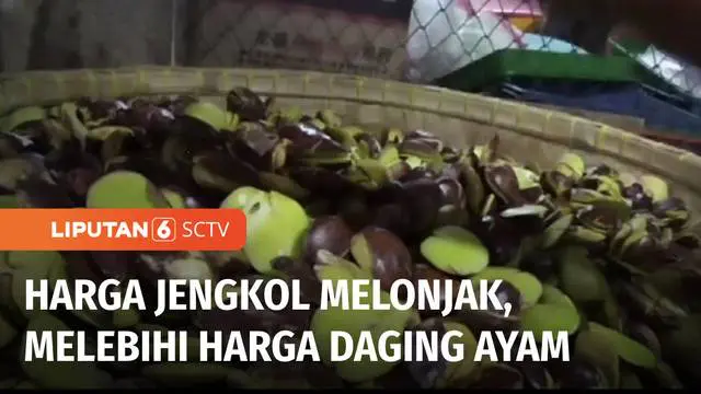 Minim pasokan, harga jengkol di Subang, Jawa Barat, naik lebih dari 100 persen. Kenaikan harga juga terjadi pada komoditas garam yang harganya melonjak 200 persen.