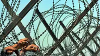 Penjara Abu Ghraib di Baghdad (CNN)