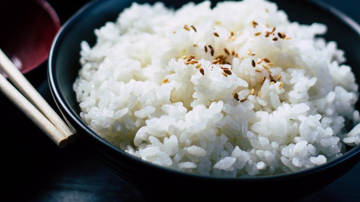Rahasia Langsing: Metode Diet Tanpa Nasi Putih Terbaru, Ampuhkah?
