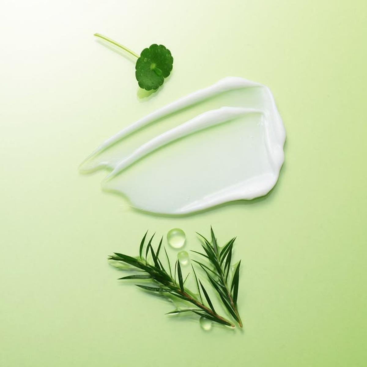 Ilustrasi Skincare yang Mengandung Green Tea (©Pinterest)