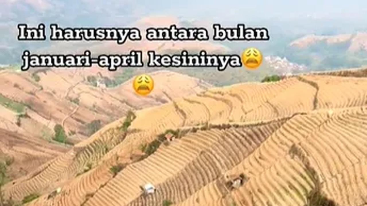 Terasering yang Mengering