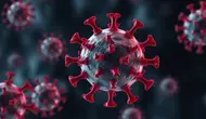 Temuan 9 Kasus Positif Influenza Tipe A di Bali, Seluruh Wilayah Diimbau Waspada