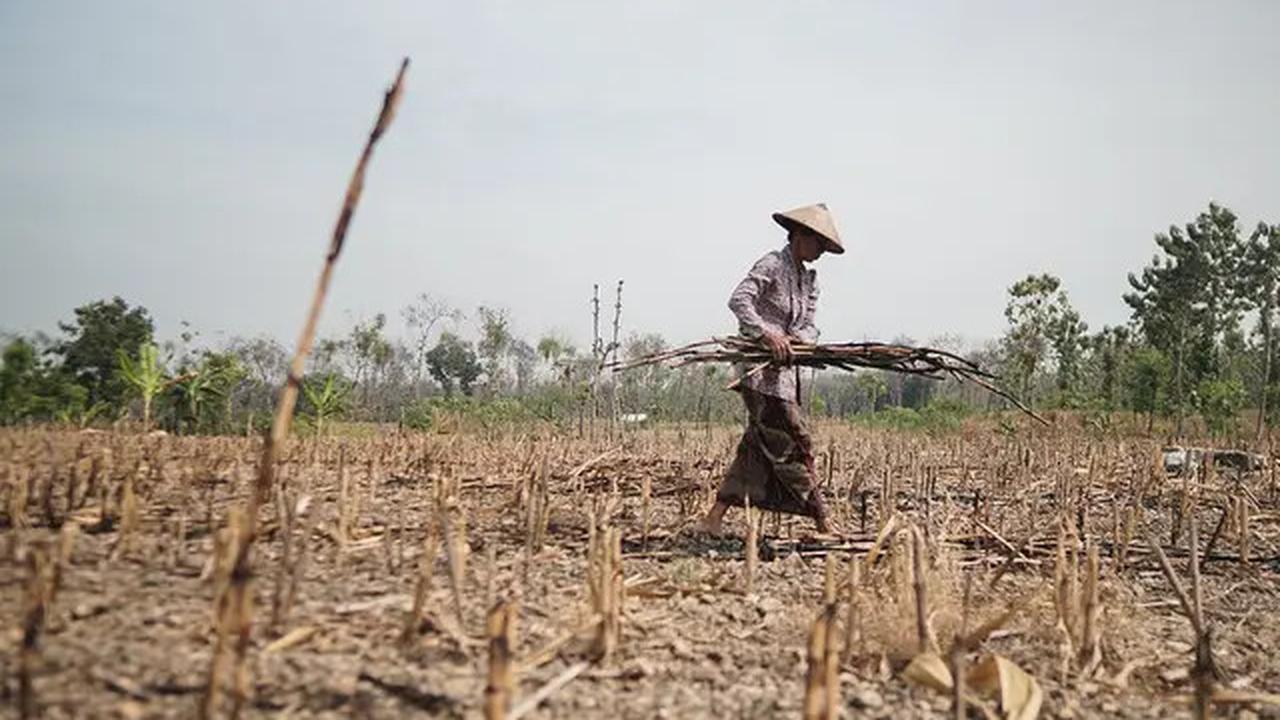 Saat 9 Pelari Berhijab Berlari Estafet 99+9 KM demi Perempuan Petani di NTB Jelang NIVEA Hijab Run 2025