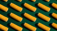 ilustrasi jagung (sumber: Unsplash)