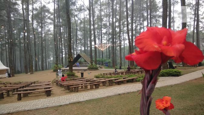 Pagi Yang Segar Bersama 20 Ribu Anggrek Di Orchid Forest Cikole