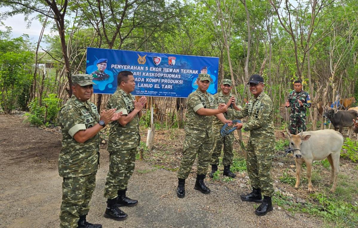 TNI AU