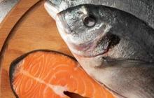12 Ikan yang Memiliki Protein Tinggi dan Bisa Dibeli dengan Harga Ekonomis, Bagus Untuk Kecerdasan Anak