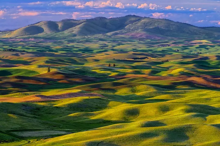 Lembah warna-warni di Steptoe Butte, Washington. Source: Michael Brandt via http://mymodernmet.com