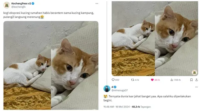 Kreativitas Netizen Bikin Dialog dari Foto Kucing Melamun Kocak. (Sumber: Twitter/@kochengfs)