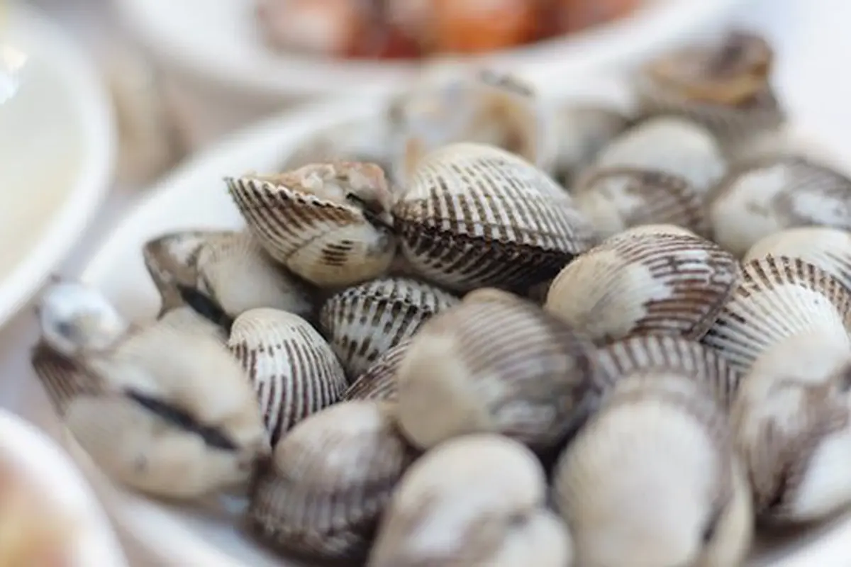 Merebus kerang./Copyright pixabay.com