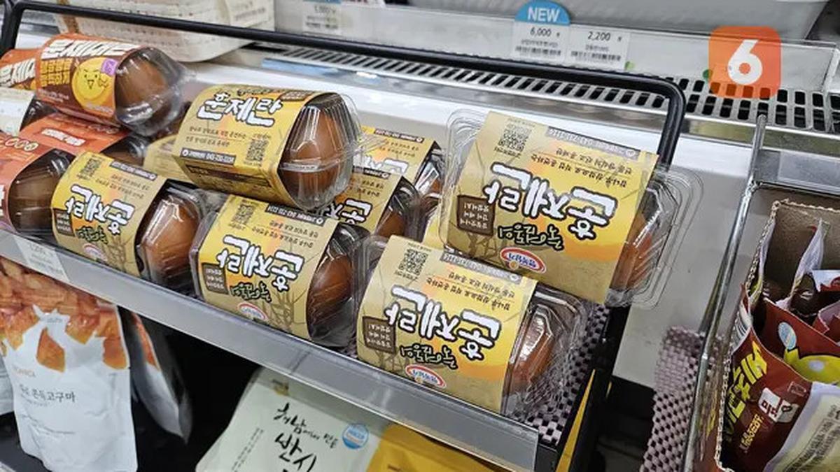 Berapa Kg yang Bisa Anda Turunkan Dengan Diet Telur? Simak Sederet Faktanya di Sini!
