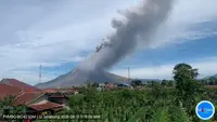 Status Sinabung Naik Usai Erupsi
