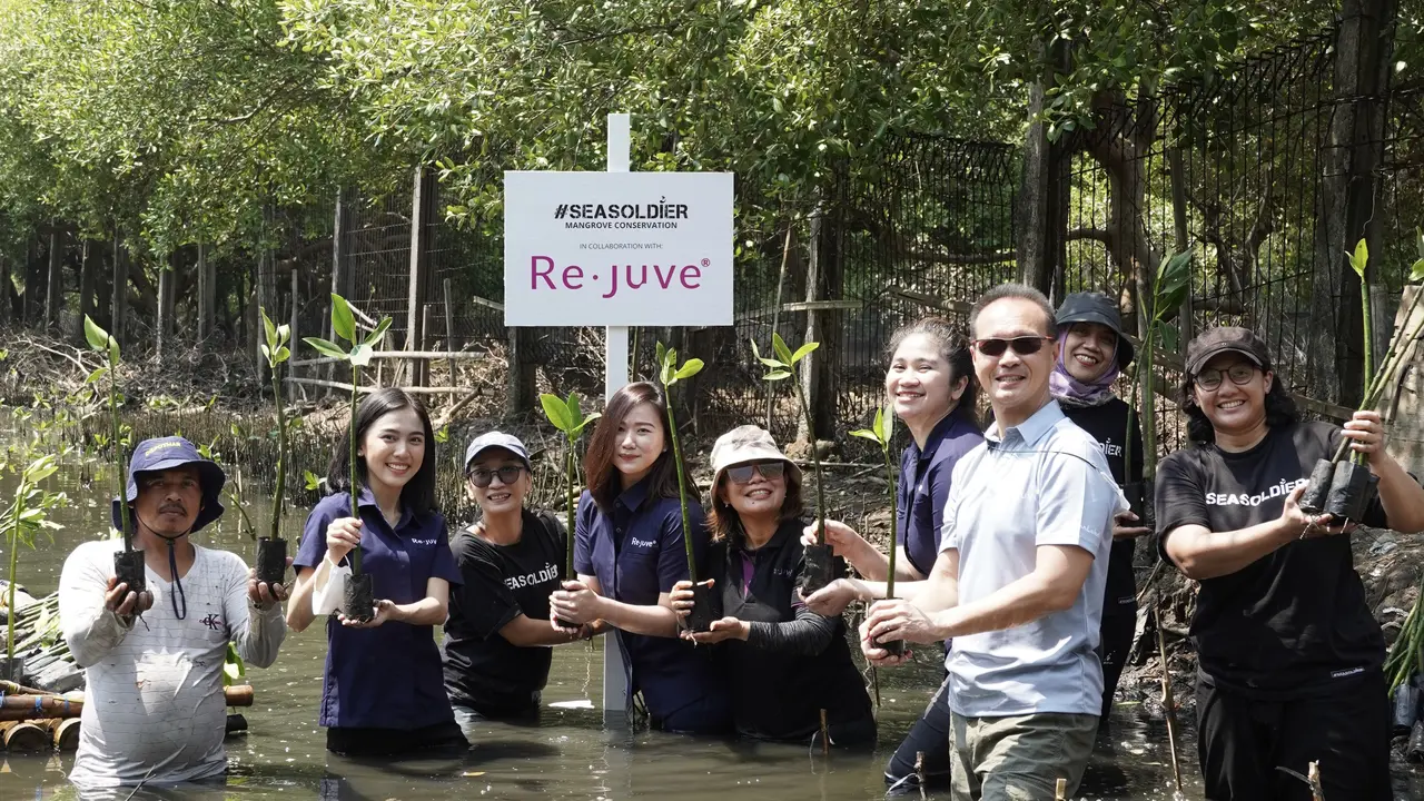 Mangrove