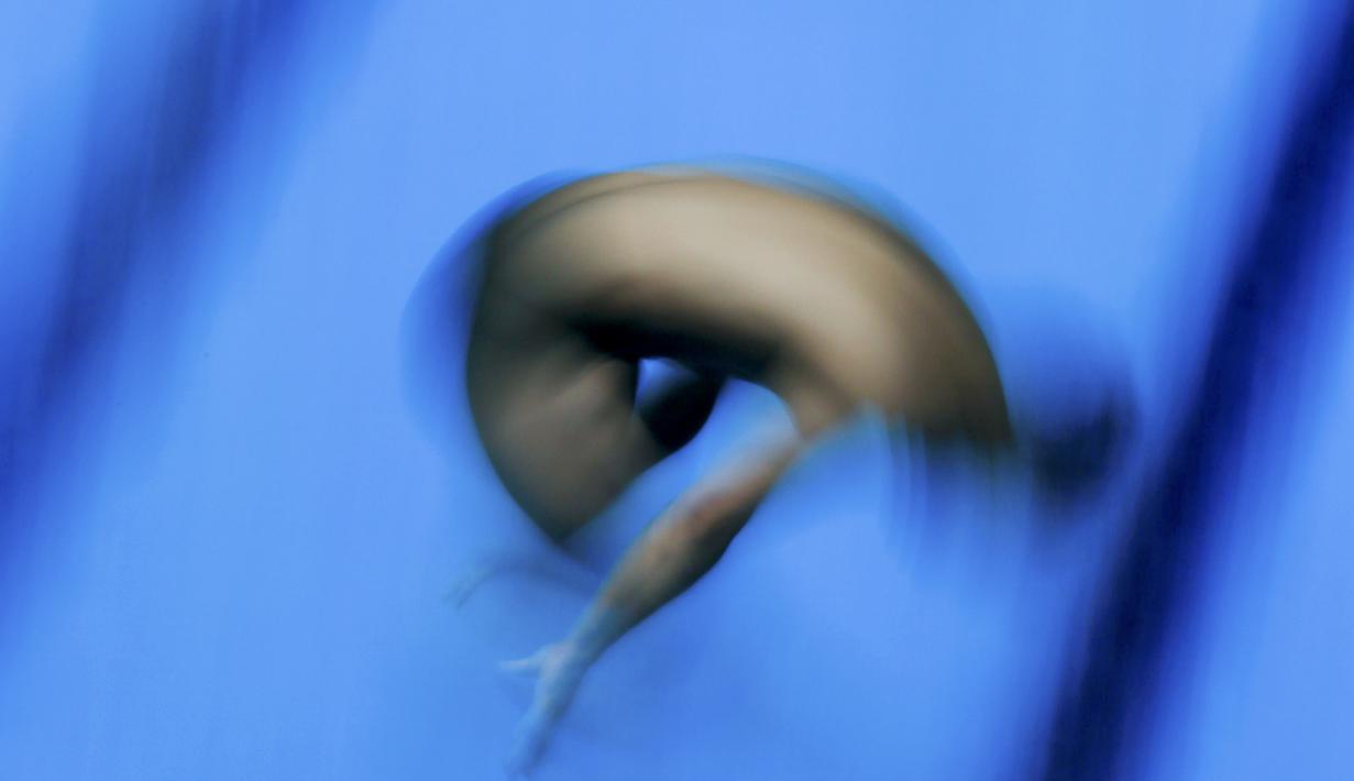 Peloncat indah Jepang, Ken Terauchi, beraksi di nomor papan 3m putra Kejuaraan Dunia Akuatik 2015 di Kazan, Rusia. (30/7/2015). (Reuters/Michael Dalder)