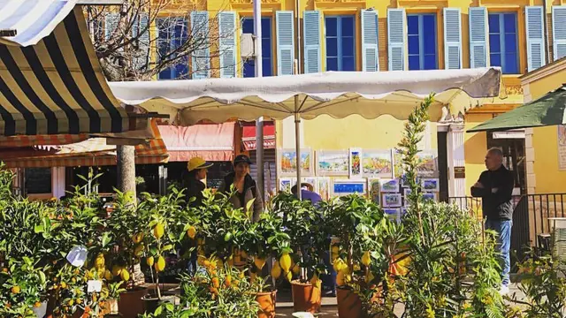 Cours Saleya