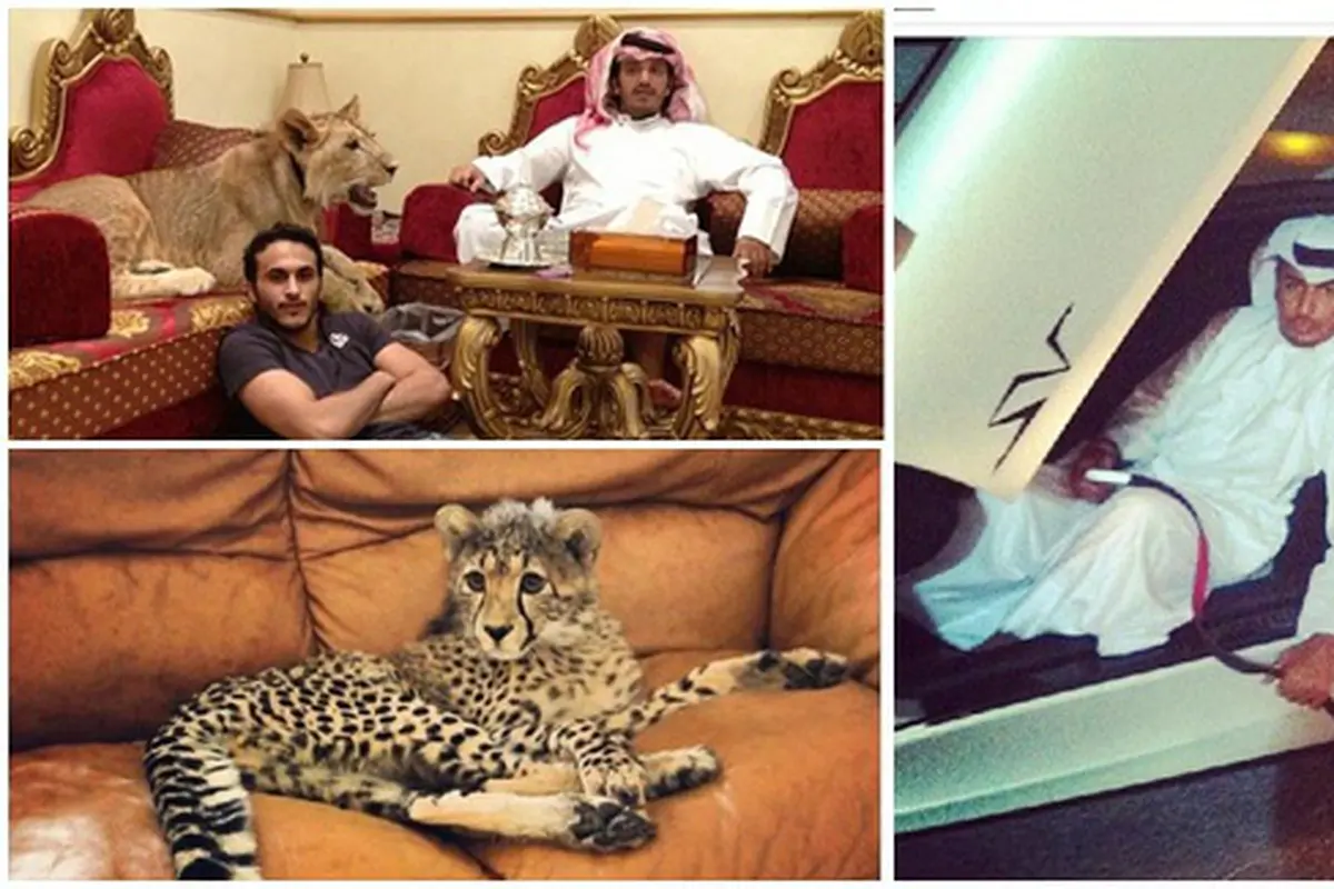 (c) instagram