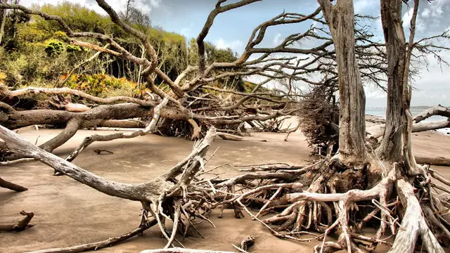 Boneyard Beach