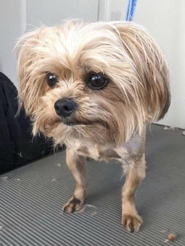 7 Potret dengan Ilusi Optik Ini Bakal Membuatmu Bingung