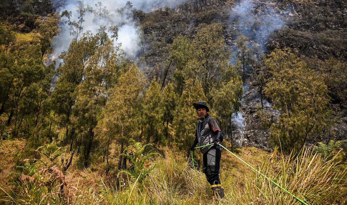 Pemadaman Terus Dilakukan Cegah Api Meluas di Gunung Bromo