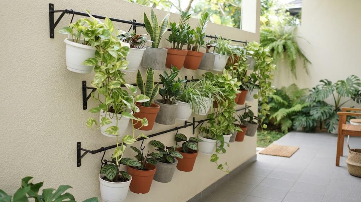Deretan Pot Gantung di Dinding