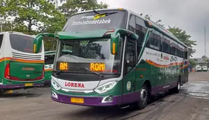Cari Cuan Baru, Lorena Siap Masuk Bisnis Kargo