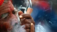 Provinsi Gandaki di Nepal Legalkan Ganja untuk Keperluan Medis