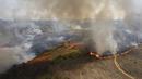 Kebakaran menghanguskan sebagian Taman Juquery di Franco da Rocha, wilayah Sao Paulo, Brasil, Senin (23/8/2021). Menurut Departemen Pemadam Kebakaran, kebakaran akibat sebuah balon udara panas kertas ilegal yang mendarat memicu dan menghancurkan lebih dari setengah dari taman. (AP/Andre Penner)