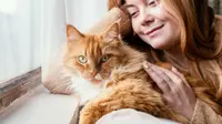 10 Cute and Independent Cat Breeds That are Perfect for Busy People