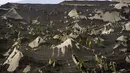 Kebun pisang terbengkalai dan tertutup abu dari gunung berapi Cumbre Vieja di pulau Canary La Palma, Spanyol, Rabu (27/10/2021). Penduduk di Pulau La Palma menghadapi kemungkinkan gempa yang lebih kuat yang bisa memperparah kerusakan oleh muntahan lava gunung tersebut. (AP Photo/Emilio Morenatti)