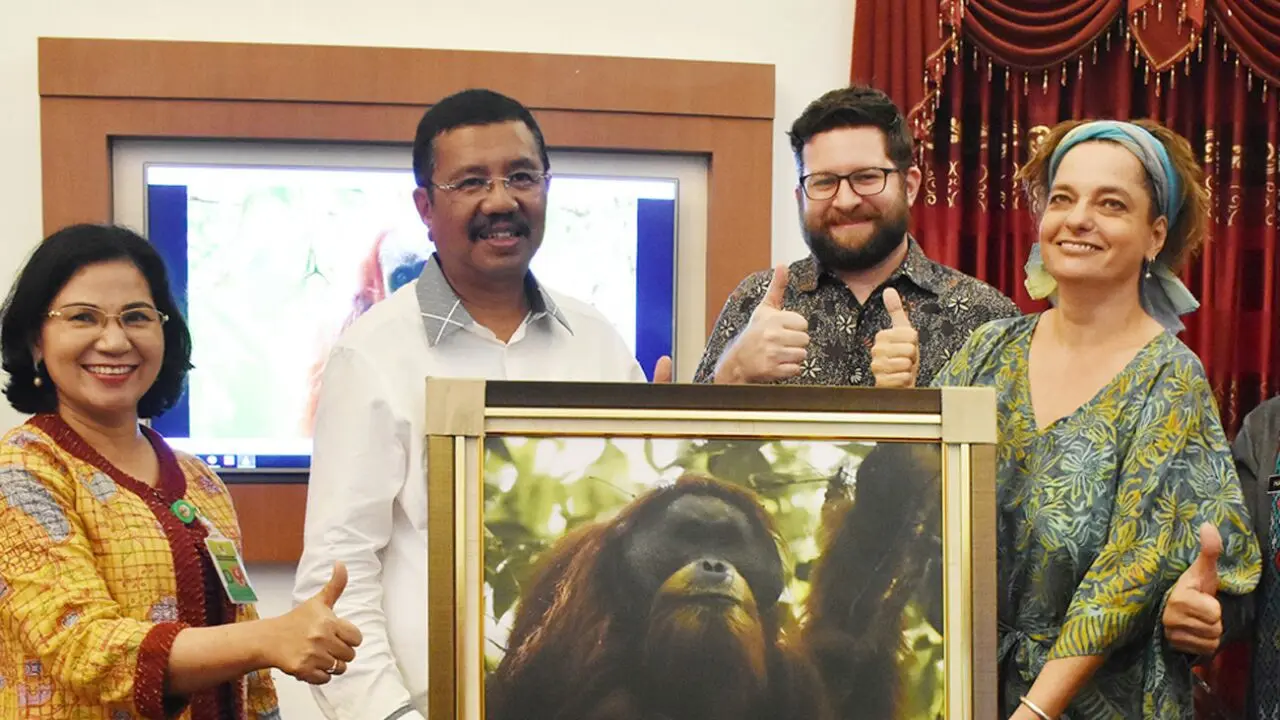 Perkenalkan, Spesies Orangutan Terbaru dari Batang Toru