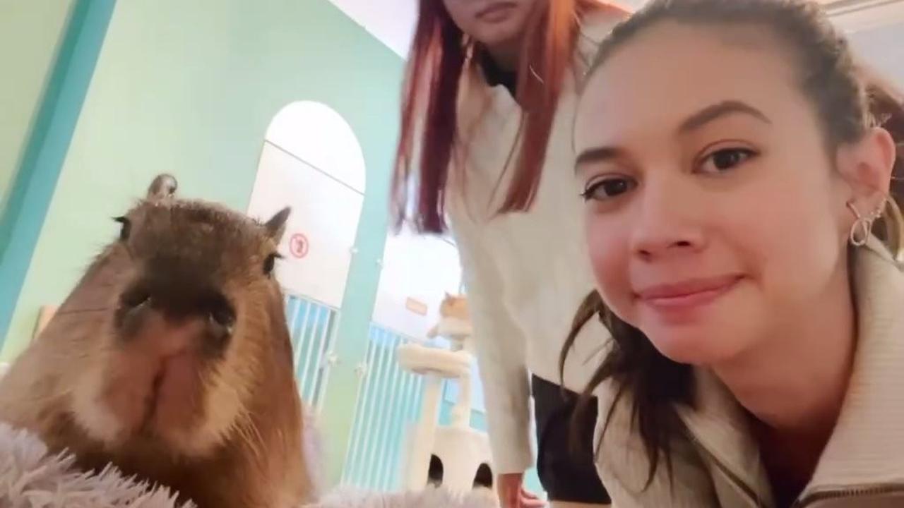 7 Potret Keseruan Yuki Kato Bareng Kapibara, Netizen: Jadi Keinget Jennie BLACKPINK