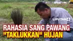 pawang hujan