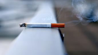 Ortu Wajib Tahu, Alasan Remaja Mulai Merokok Selain Faktor Pertemanan