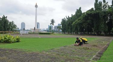 Petugas membersihkan taman di kawasan Monas, Jakarta, Rabu (23/1). DPRD meminta Pemprov DKI Jakarta untuk menjaga keamanan pengunjung saat dilakukan penataan. (Liputan6.com/Herman Zakharia)