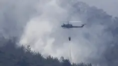 Helikopter tentara Lebanon menjatuhkan air di atas kebakaran hutan, di desa Qobayat, Lebanon, Kamis (29/7/2021). Petugas pemadam kebakaran Lebanon berjuang di hari kedua untuk mengatasi kebakaran hutan di utara negara itu yang telah menyebar ke seluruh perbatasan ke Suriah. (AP Photo/Hussein Malla)
