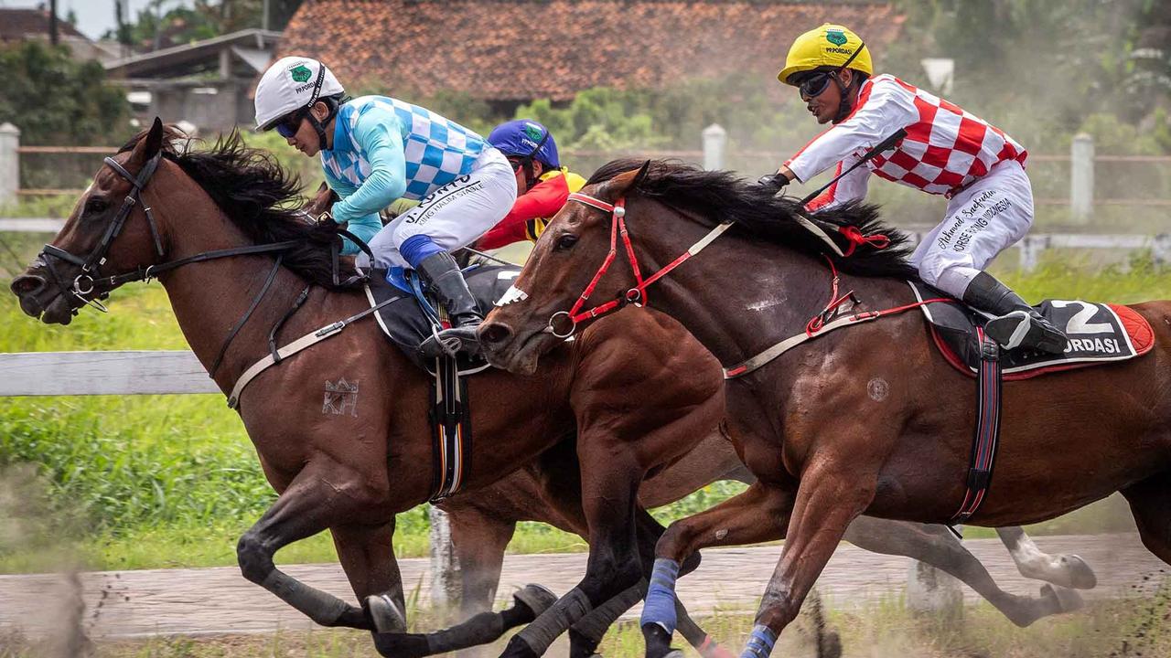 FOTO: Gagahnya Derap Kuda di Bantul,  Piala Raja Hamengku Buwono X 2025 Hidupkan Tradisi dan Sport Tourism