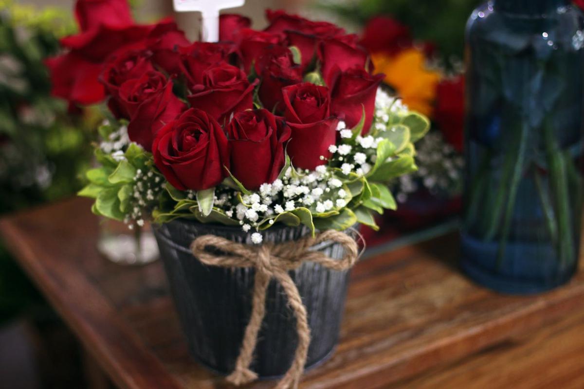 Mawar Merah (Rose)