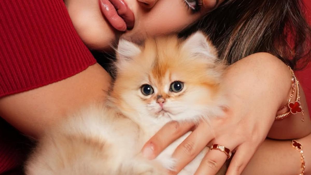 Adopsi Anabul, Tasya Farasya Tampil Totalitas dengan Makeup Glow Glam dan Full Lips