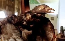 Kisah Burung Berpangkat Letnan Paling Berjasa Bagi Pejuang Indonesia Sampai Tewas Ditembak di Hadapan Komandan