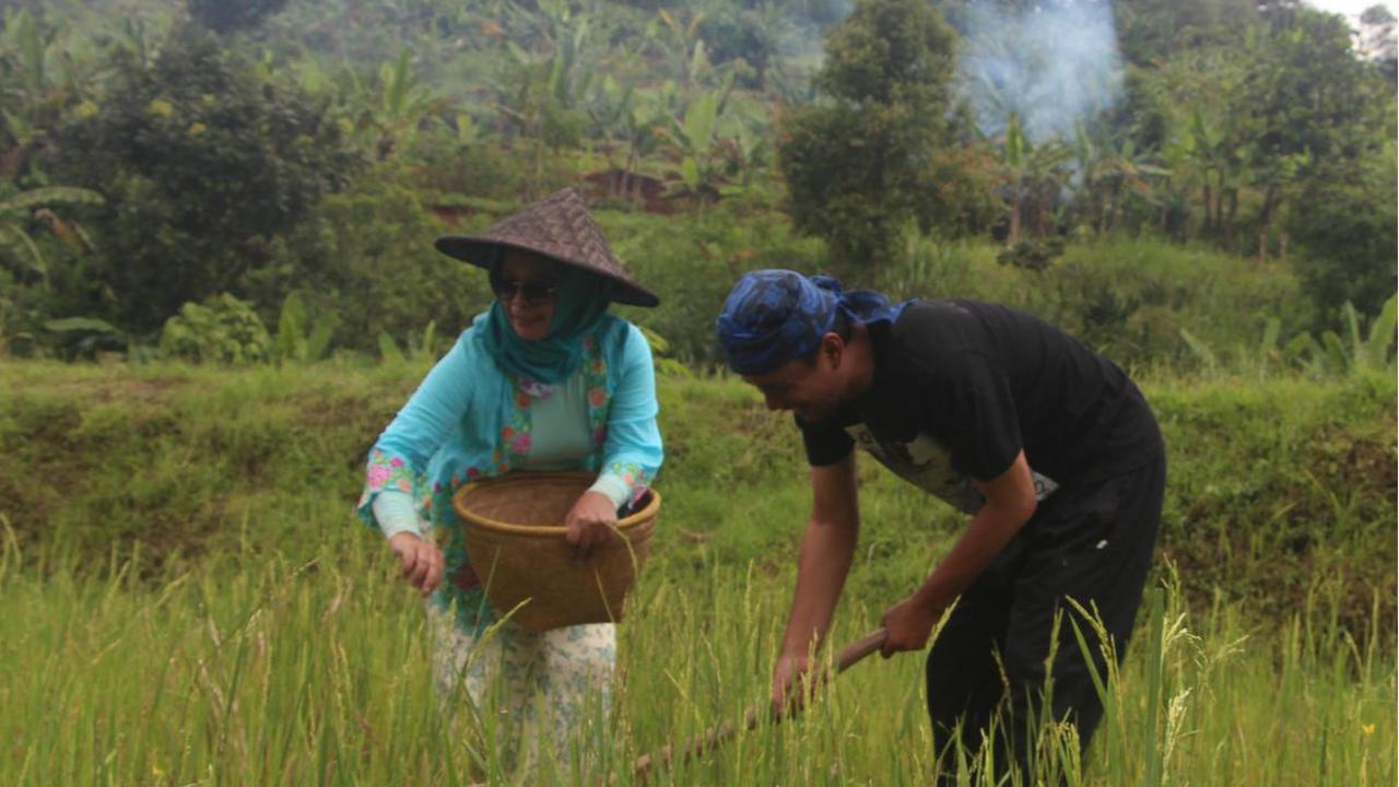 Kampung Cigadung Jadi Jadi Daya Tarik Lain di Tengah Kota Bandung, Bisa Belajar Membatik sampai Menikmati Indahnya Curug Jernih