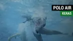 Berita video tentang olahraga polo air yang keras dan juga dirasakan oleh para atlet Indonesia yang berjuang di Asian Games 2018.