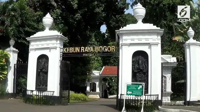 Pengelola Kebun Raya Bogor sempat menutup seluruh kawasan untuk pengunjung. Hal itu disebabkan adanya angin kencang yang terjadi di Bogor.