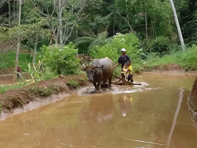 7. Kampung Bambu Cimenyan