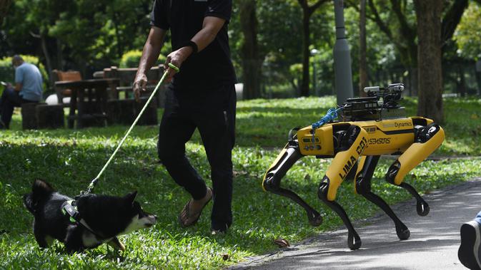 SPOT, robot anjing yang dapat mendeteksi apakah pengunjung memakai masker atau tidak menjalani uji coba putaran keduanya di Bishan Park Singapura, 22 September 2020. Selain menjaga jarak sosial, SPOT meningkatkan kemampuan deteksi masker dan pemetaan 3D tanpa teknologi lidar. (Xinhua/Then Chih Wey)